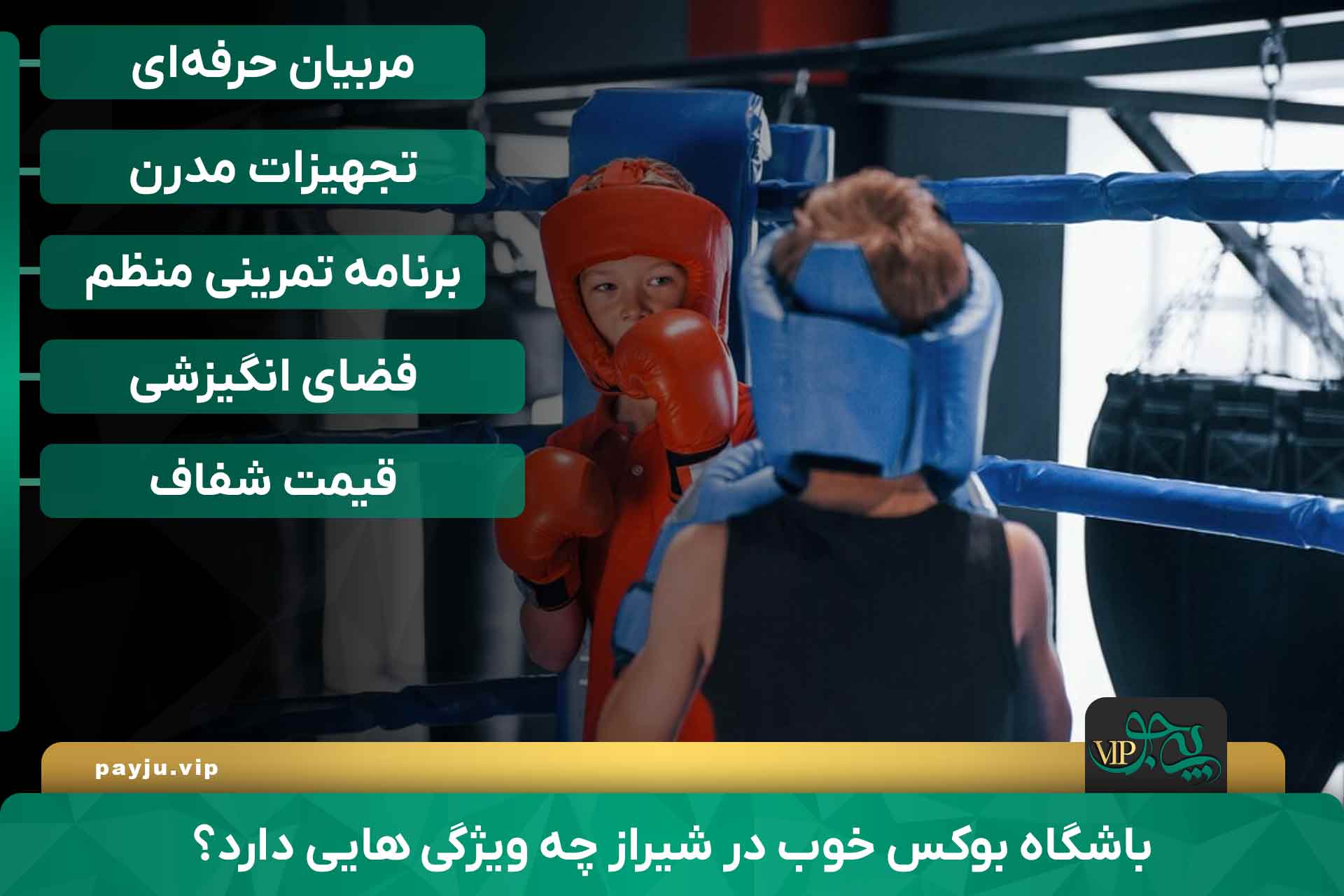 بهترین باشگاه های بوکس در شیراز