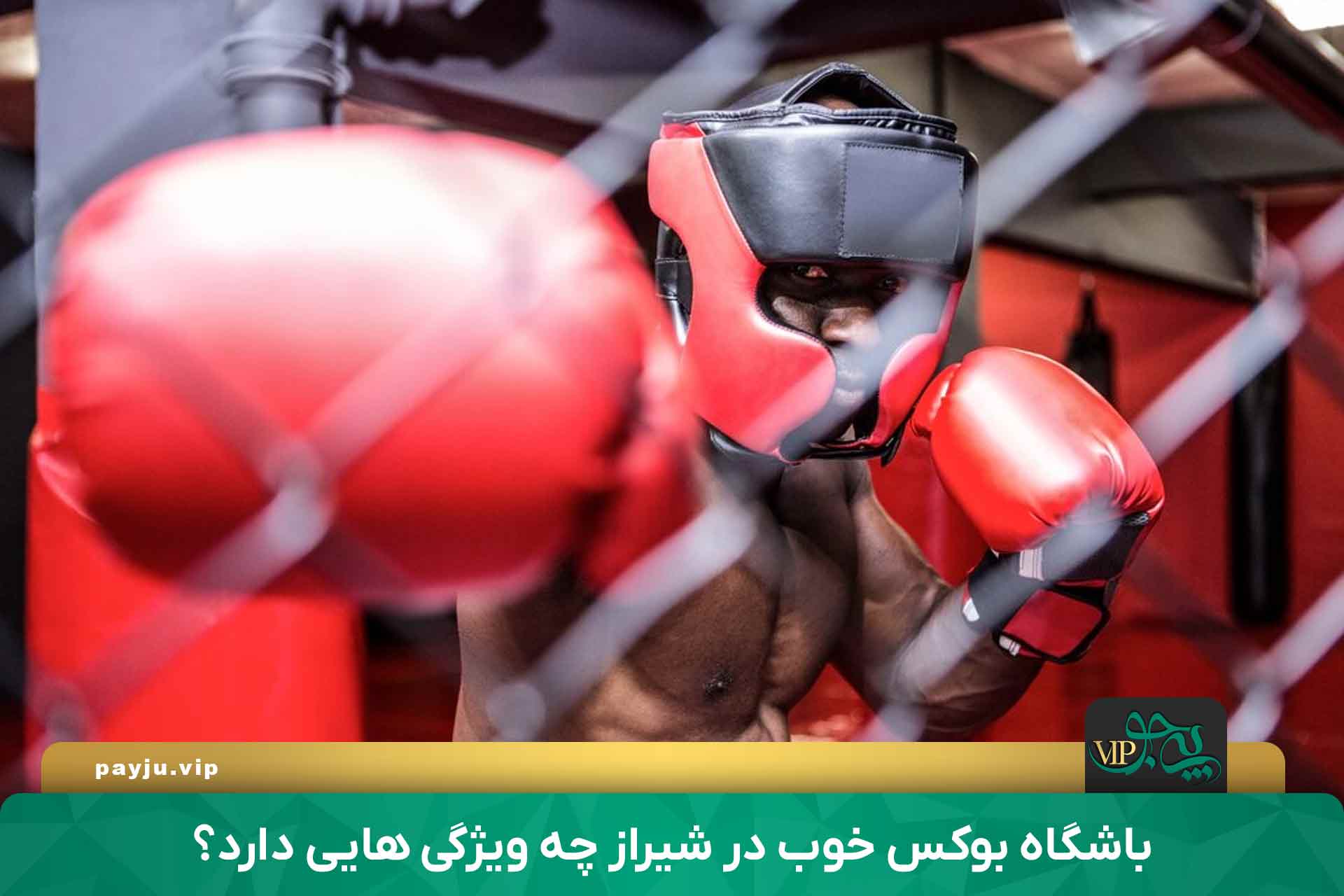 بهترین باشگاه های بوکس در شیراز