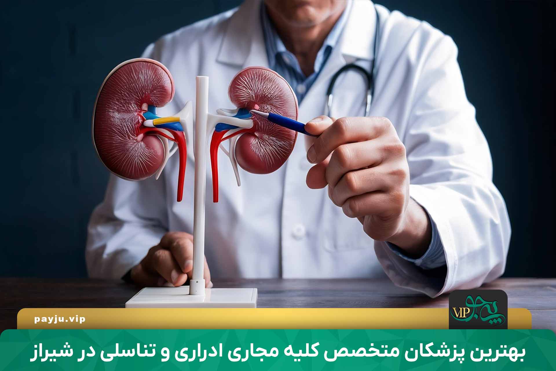 متخصص کلیه و مجاری ادراری در شیراز
