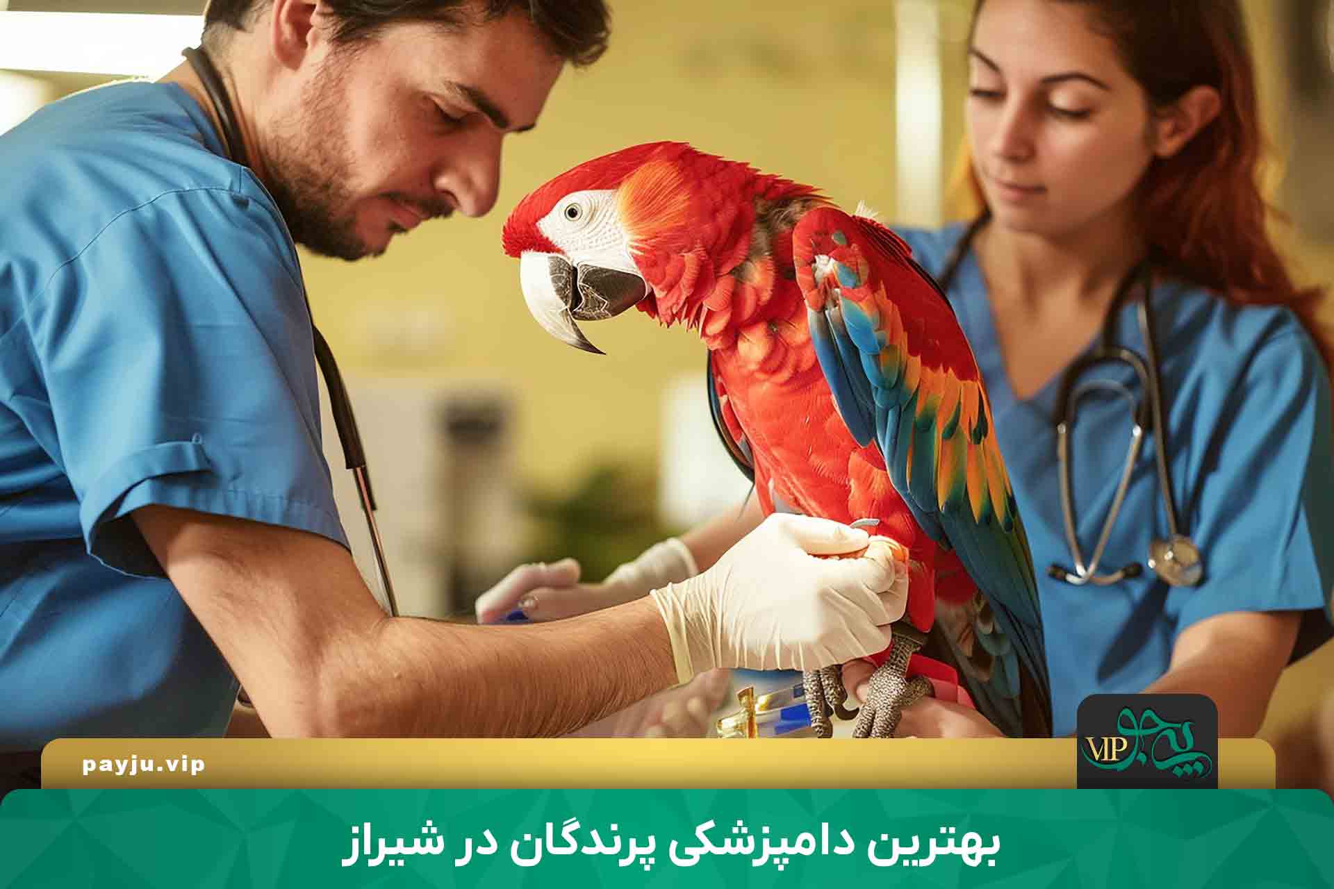 دامپزشکی پرندگان در شیراز