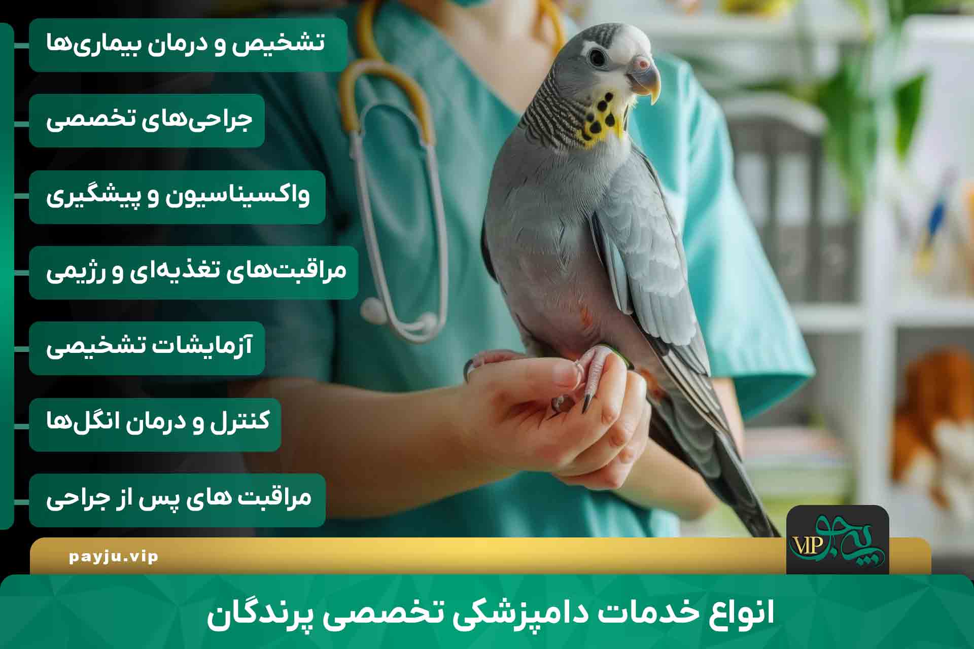 دامپزشکی پرندگان در شیراز