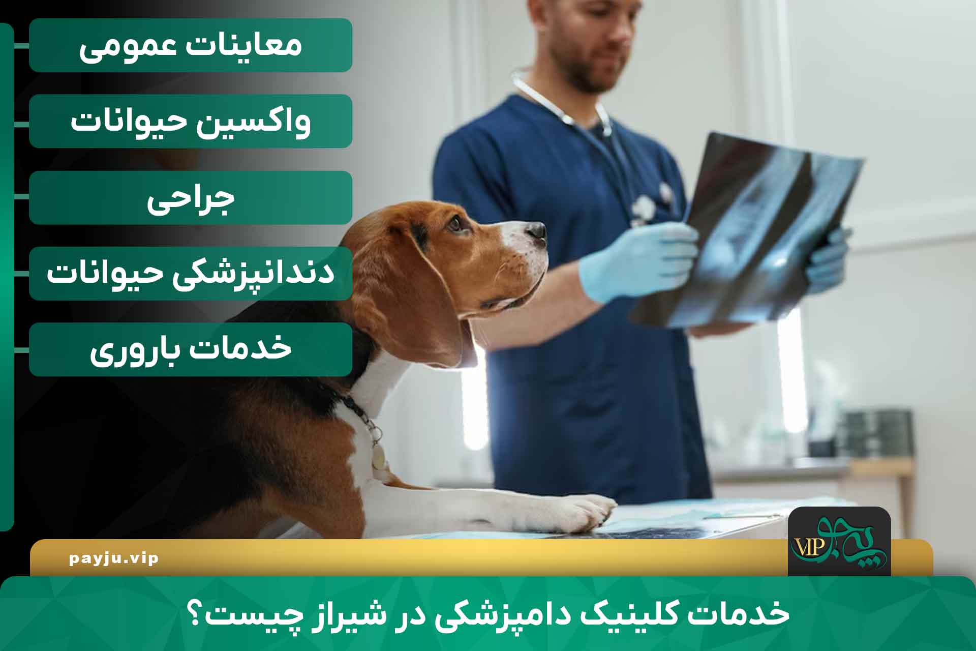 کلینیک دامپزشکی در شیراز