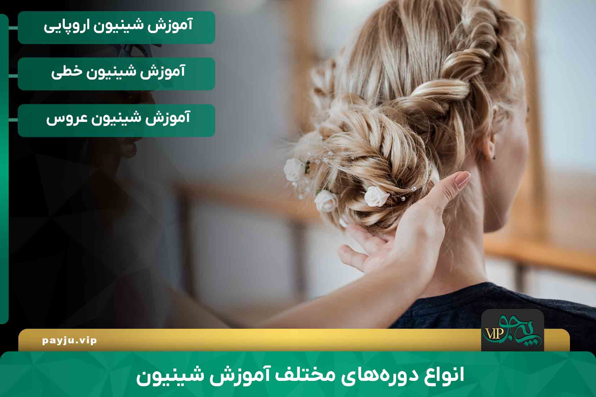 بهترین آموزش شینیون مو در شیراز