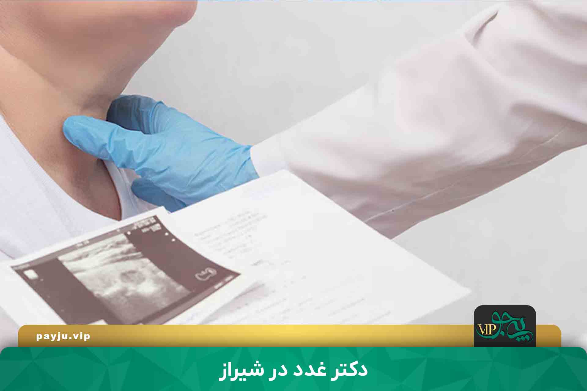 بهترین دکتر متخصص غدد در شیراز