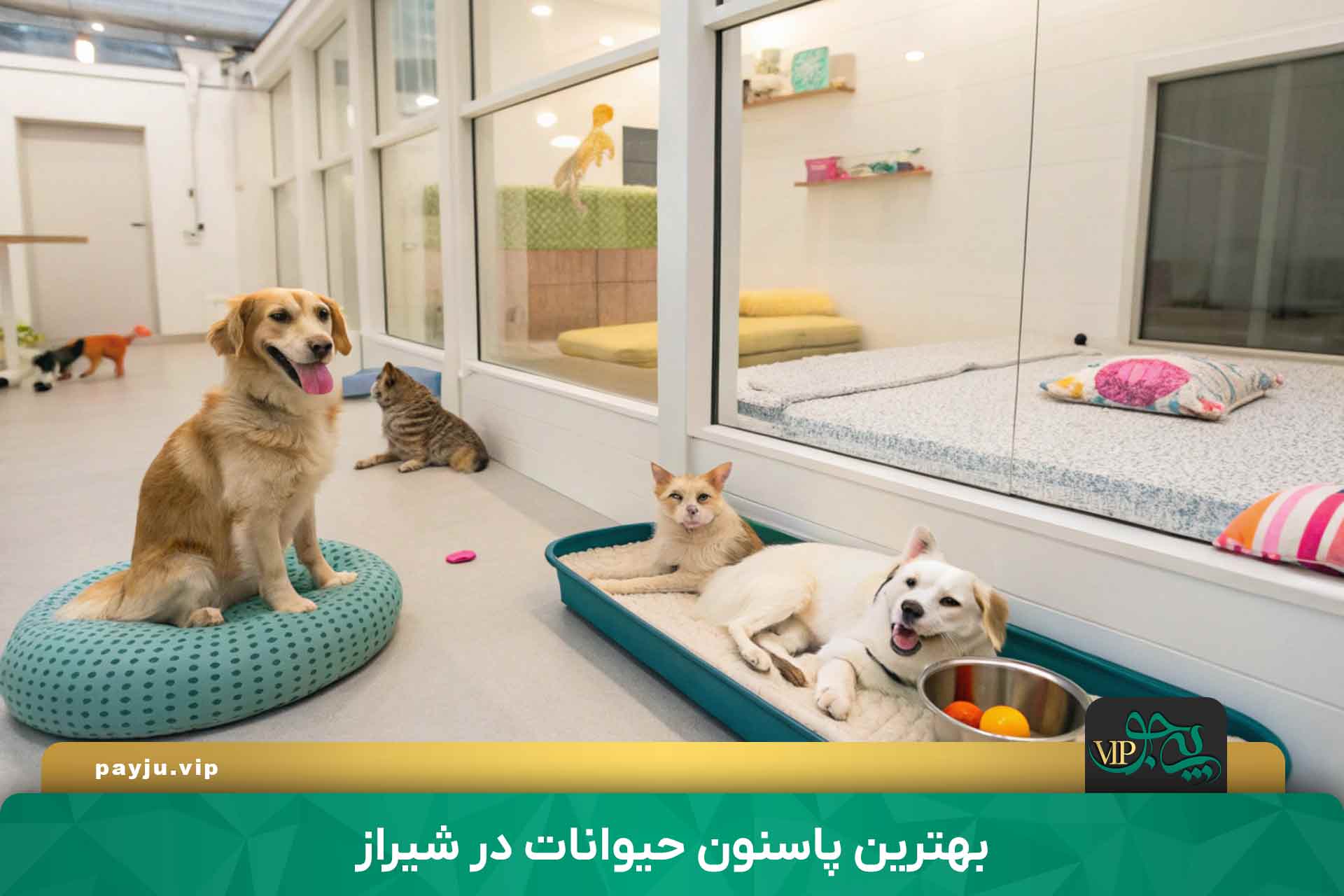 بهترین پانسیون حیوانات در شیراز